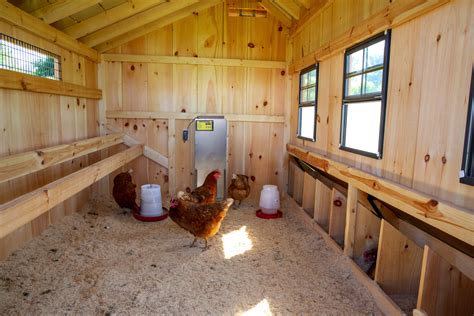 sheds converted into chicken coops